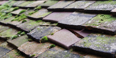 Frinton On Sea roof repair costs